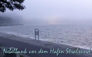 So entsteht Nebel und Seenebel